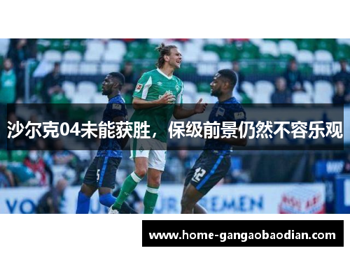 沙尔克04未能获胜，保级前景仍然不容乐观