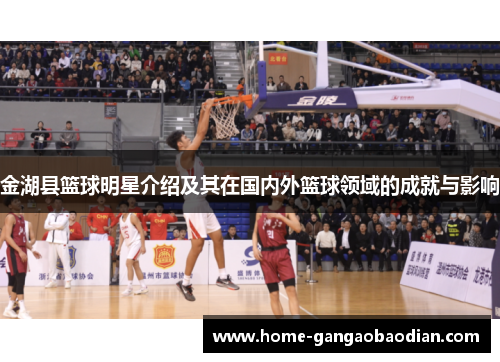 金湖县篮球明星介绍及其在国内外篮球领域的成就与影响